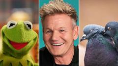 East of England news quiz of the week